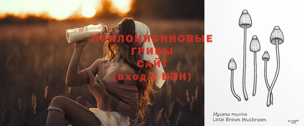 стаф Белоозёрский