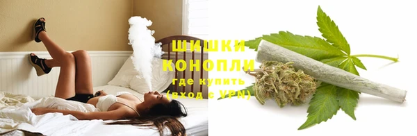 стаф Белоозёрский