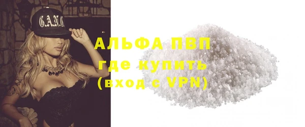 амф Каменка