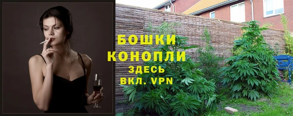 стаф Белоозёрский