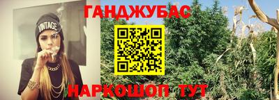 индика Беслан