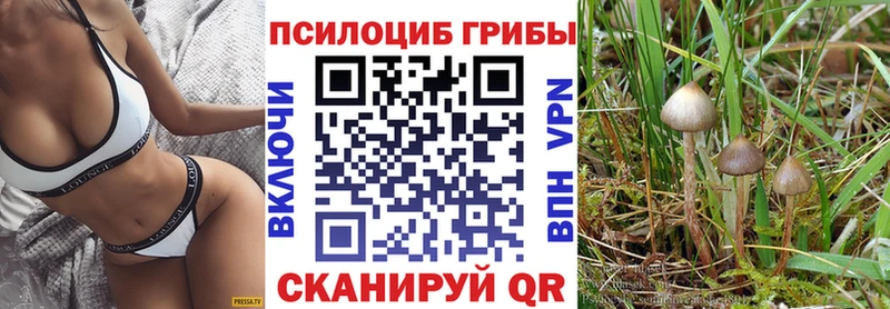 MEGA вход  Горно-Алтайск  Галлюциногенные грибы прущие грибы 