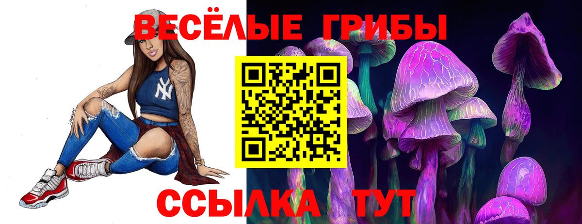 где купить   Вход с VPN  Горно-Алтайск  Галлюциногенные грибы мухоморы 